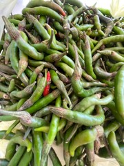 green color hot chili