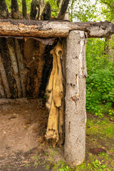 Animal skin hanging up