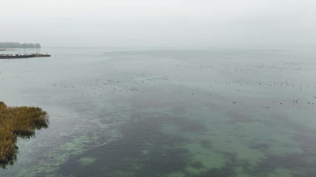 Stunning drone footage capturing the tranquil beauty of a lake with crystal-clear water and a rocky shoreline surrounded by autumn foliage. Perfect for use in nature documentaries, travel content