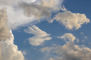 blue sky with white clouds and storm clouds of different shapes with some shapes that resemble animals number 1
