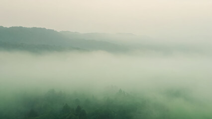 green paper background