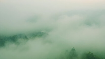 Obraz premium green paper background