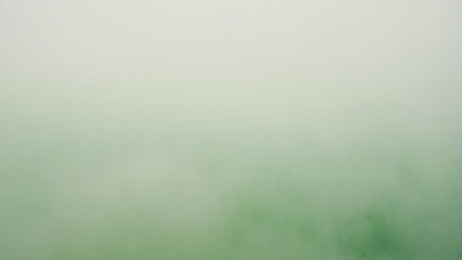 Obraz premium green paper background