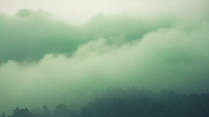 Fototapeta premium green background