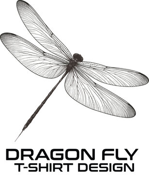 Dragon Fly Vector T Shirt Design