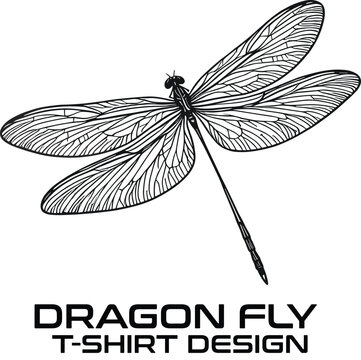 Dragon Fly Vector T Shirt Design