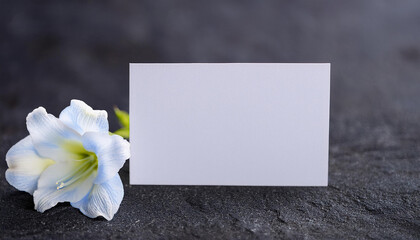 Condolence card and white flower on dark stone surface. Mock-up. Close-up.