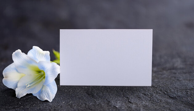 Condolence card and white flower on dark stone surface. Mock-up. Close-up.