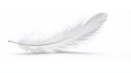 Obraz premium White feather on white background