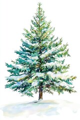 Fototapeta premium Watercolor Painting of a Snow Covered Pine Tree