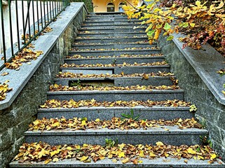 Autumn leaves on the steps of the stairs