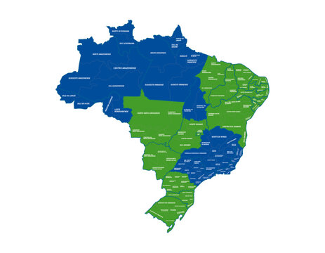 Mapa do Brasil com as Mesorregi&otilde;es Vetor