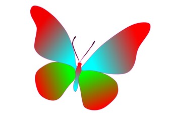butterfly colorful vector design