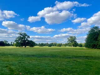 Beautiful sunny rural landscape with bright blue sky, white fluffy clouds, green grass and trees