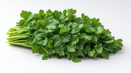 Fototapeta premium Fresh vibrant green parsley rests on a clean surface, highlighting its culinary appeal
