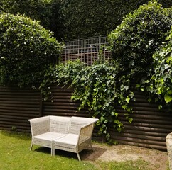 White wicker bench against wooden wall and cascading plants