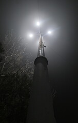 A streetlamp photographed from below looking up