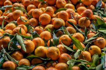 A vibrant display of freshly harvested oranges with green leaves attached, arranged at a market stall.