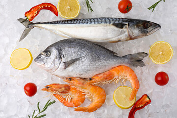 Fresh raw sea food and products on ice cubes, flat lay