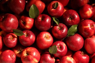 Fresh ripe red apples and green leaves as background, top view