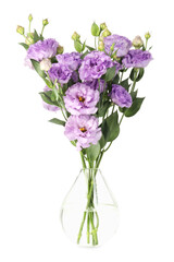 Vase with beautiful violet eustoma flowers isolated on white