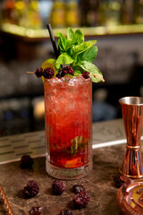 bartender equipment and cocktail