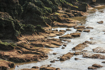 rocky beach in the morning