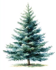 Obraz premium Watercolor Painting Of A Majestic Blue Spruce Tree