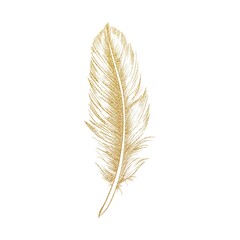 image of a golden feather, isolate, minimalism, on a white background