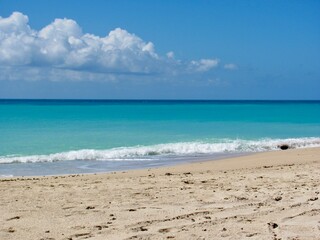 Golden sunset over calm ocean waves on a sandy beach.