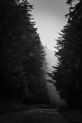 Obraz premium Foggy mountains