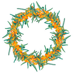 Wreath of sea buckthorn branches. Watercolor illustrations of a round frame of ripe orange berries. Clip art for product labels, packaging cosmetics, foods, medicine and tea