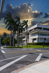 Obraz premium Miami Beach City Hall with lush green palm trees, plants and grass and cars on the street in Miami Beach Florida USA