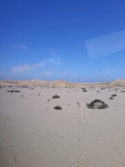 sand dunes in the desert