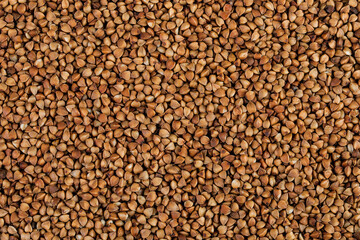 Raw buckwheat as a background. Top view. Flat lay