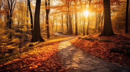 A sunlit autumn path winding through a forest with colorful leaves.