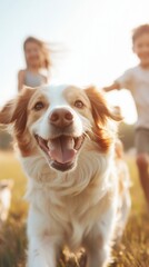 Family enjoys quality time playing with their dog in the sunny backyard