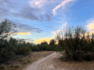 Meandering Wooden Boardwalk through the Desert Brush of Big Bend National Park, Texas at Golden Hour