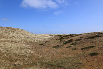 Blick auf die Küstenlandschaft am sogenannten Ellenbogen der Insel Sylt bei List	