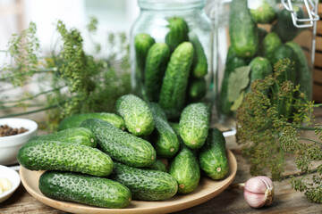 Fresh cucumbers, dill and garlic on wooden table, closeup. Preparation for pickling