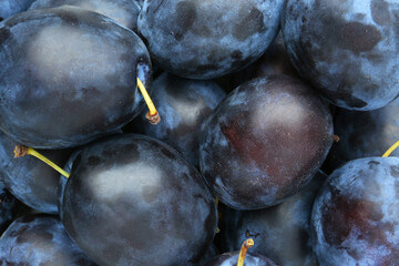 Many fresh plums as background, top view