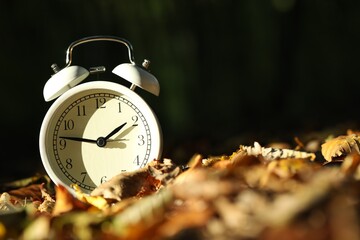 Alarm clock on fallen dry leaves outdoors, closeup. Space for text
