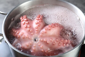 Fresh octopus boiling in pan on stove, closeup