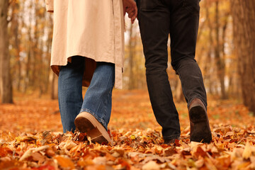 Couple spending time together in autumn park, closeup