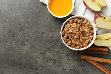 Delicious apple crisp in bowl, fresh fruits, cinnamon sticks and honey on grey table, flat lay....