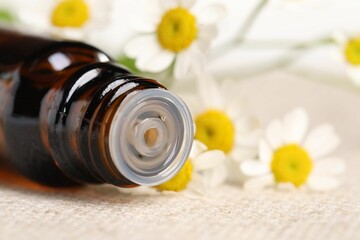 Bottle of essential oil and chamomile flowers on cloth, closeup