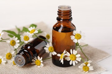 Bottles of essential oil and chamomile flowers on white table, closeup