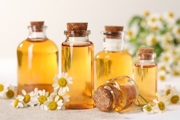 Bottles of essential oil and chamomile flowers on white wooden table, closeup