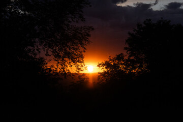 Golden hues fill the sky as the sun sets, casting shadows of nearby trees and illuminating the...