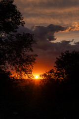 A vibrant sunset casts warm orange and yellow hues as the sun descends behind the horizon, framed by the silhouettes of trees. The serene atmosphere evokes a sense of peace.